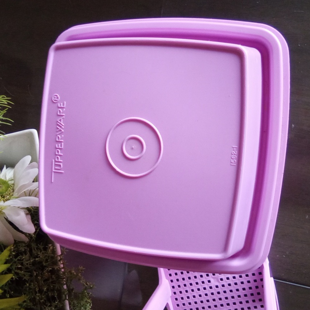 New🌈 Tupperware Pickle Container & Food Storage - Picture 2 of 10